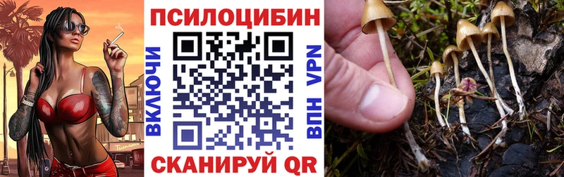 Псилоцибиновые грибы Psilocybine cubensis  цены наркотик  МЕГА как зайти  Беслан 