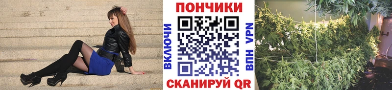 МАРИХУАНА MAZAR Беслан